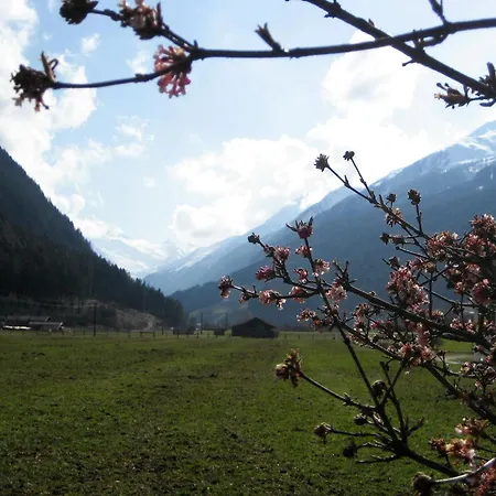 Apartment Bioholzhaus Haslinger