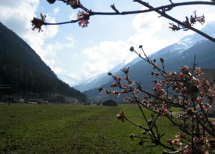 Lejlighed Bioholzhaus Haslinger