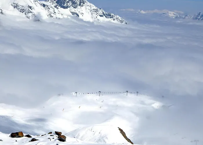 Lejlighed Bioholzhaus Haslinger