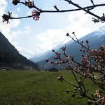 Διαμέρισμα Bioholzhaus Haslinger